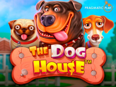 Reviews on red dog casino87